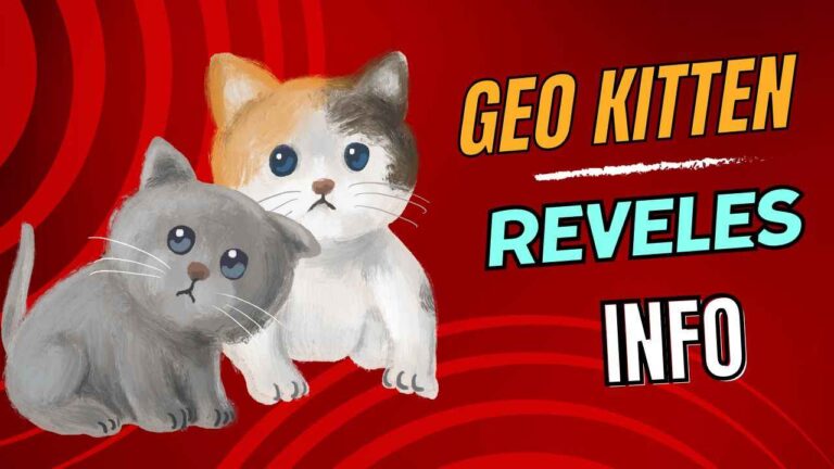 geo-kitten